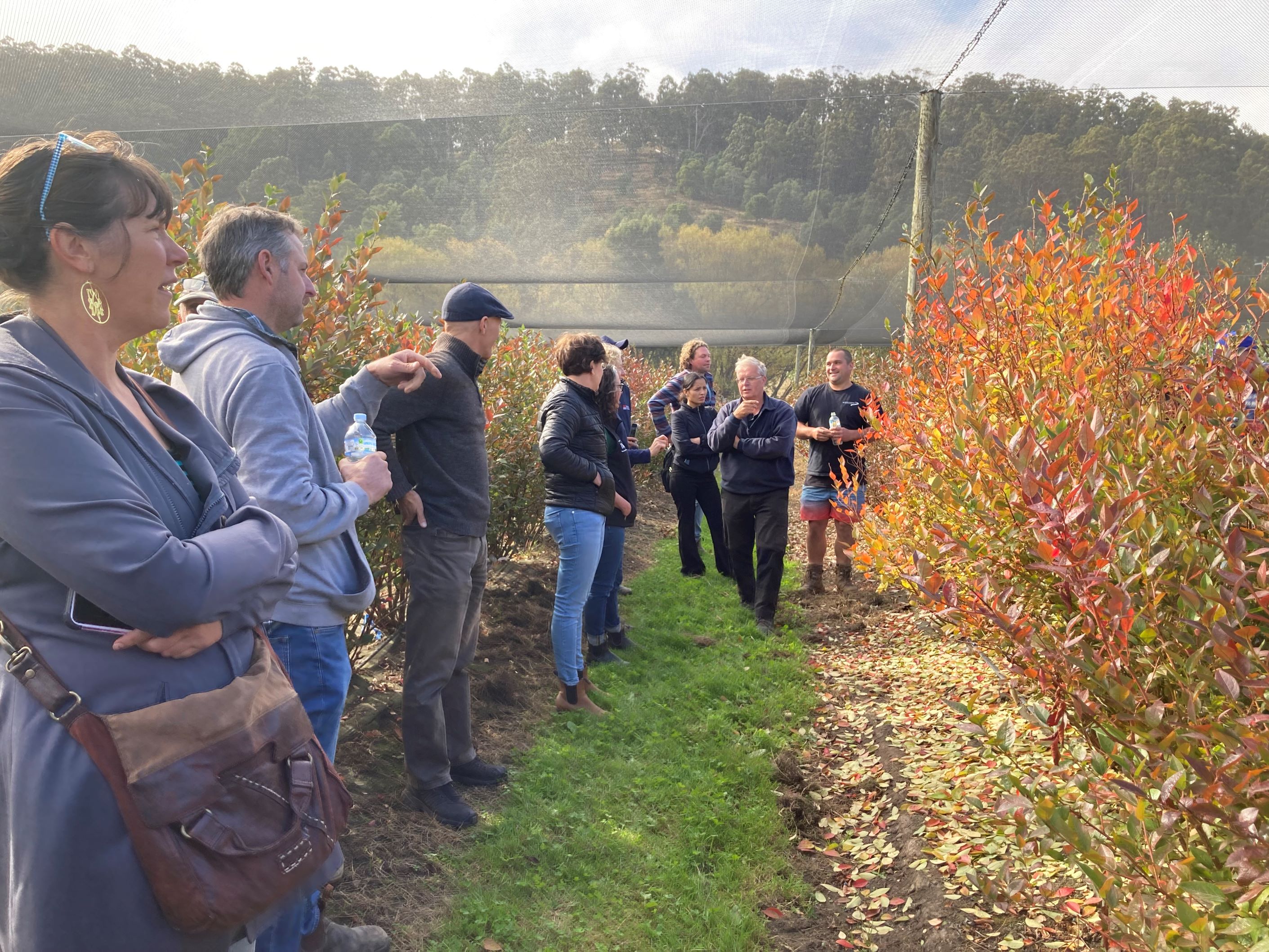 Blueberry Growers Field Day 18 April 2024