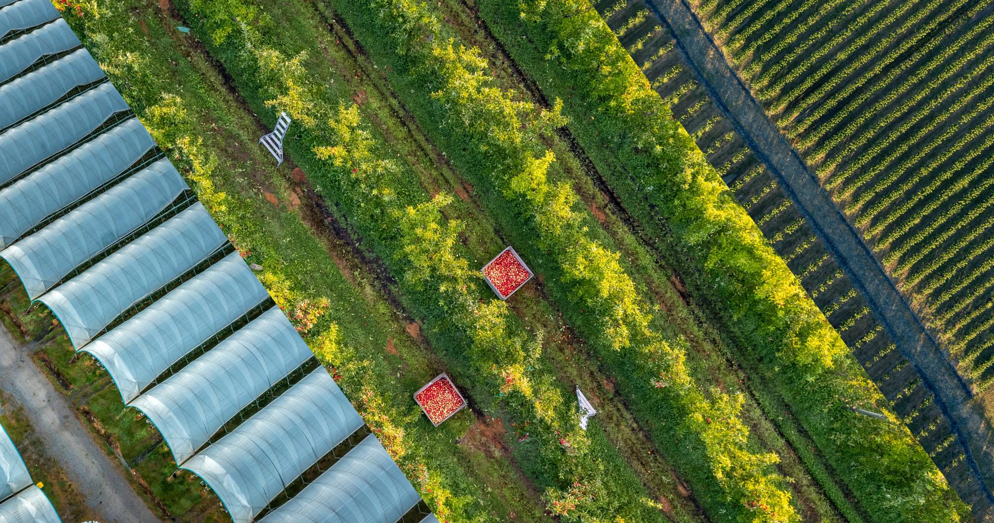 aerial montage