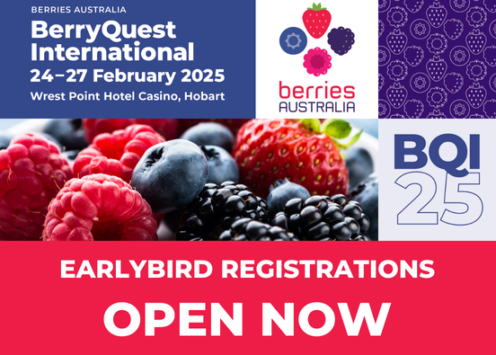 BerryQuest 2025