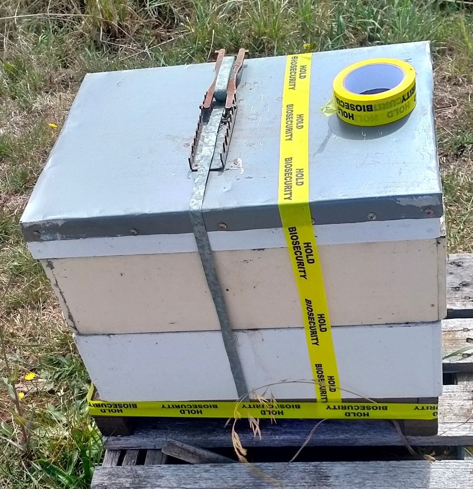 Hive under biosecurity moratorium