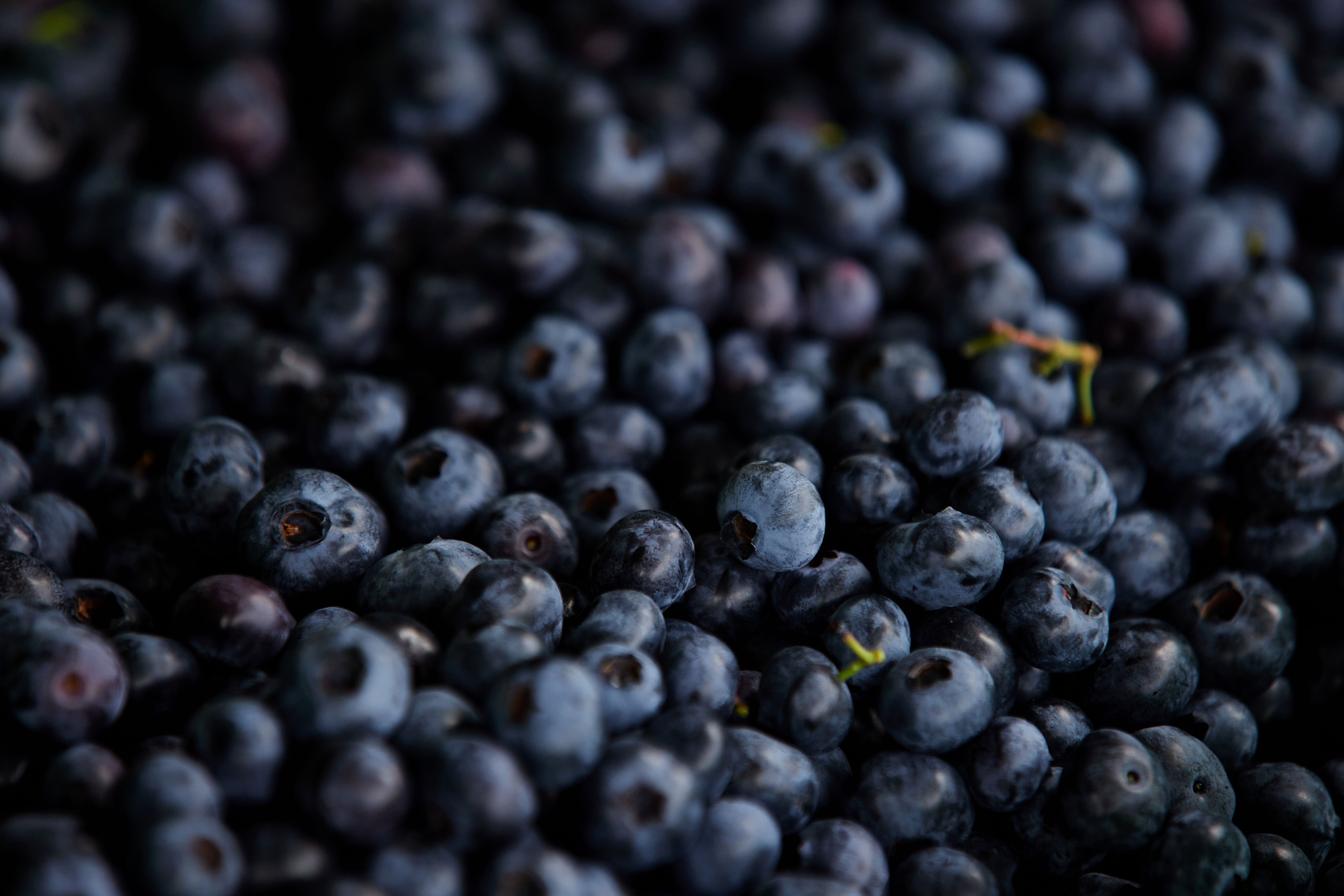 Blueberries 