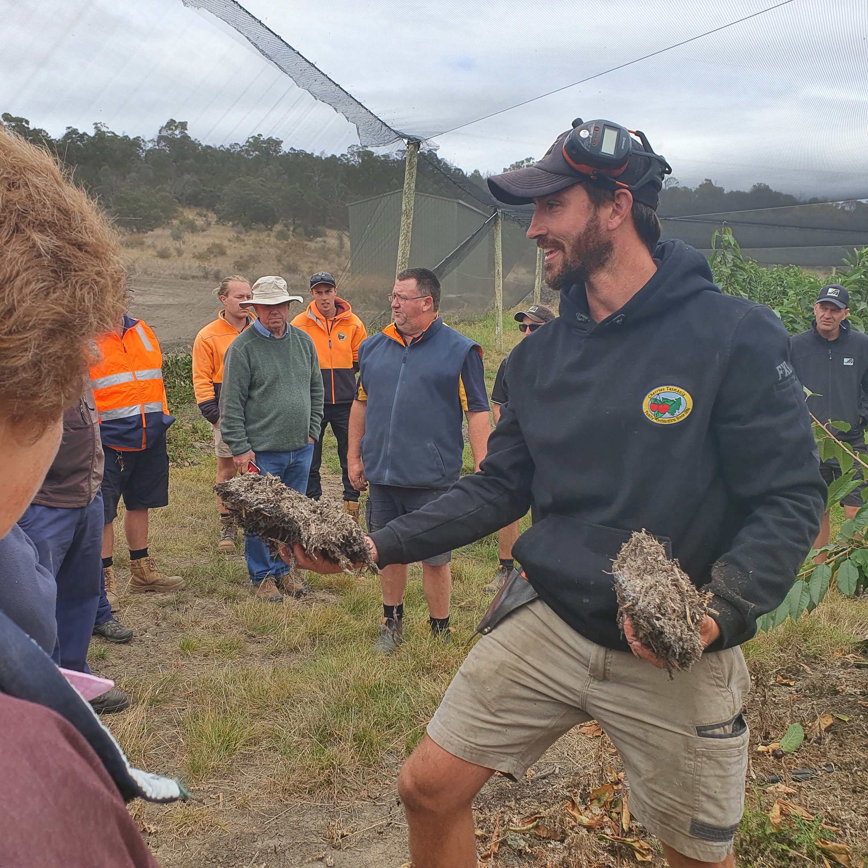 Cherries Tasmania ServeAg Field Day Nic and Scott compost.