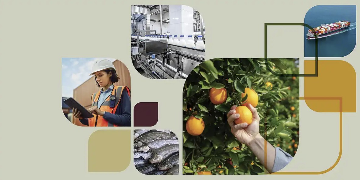 DAFF CRIS Consultation