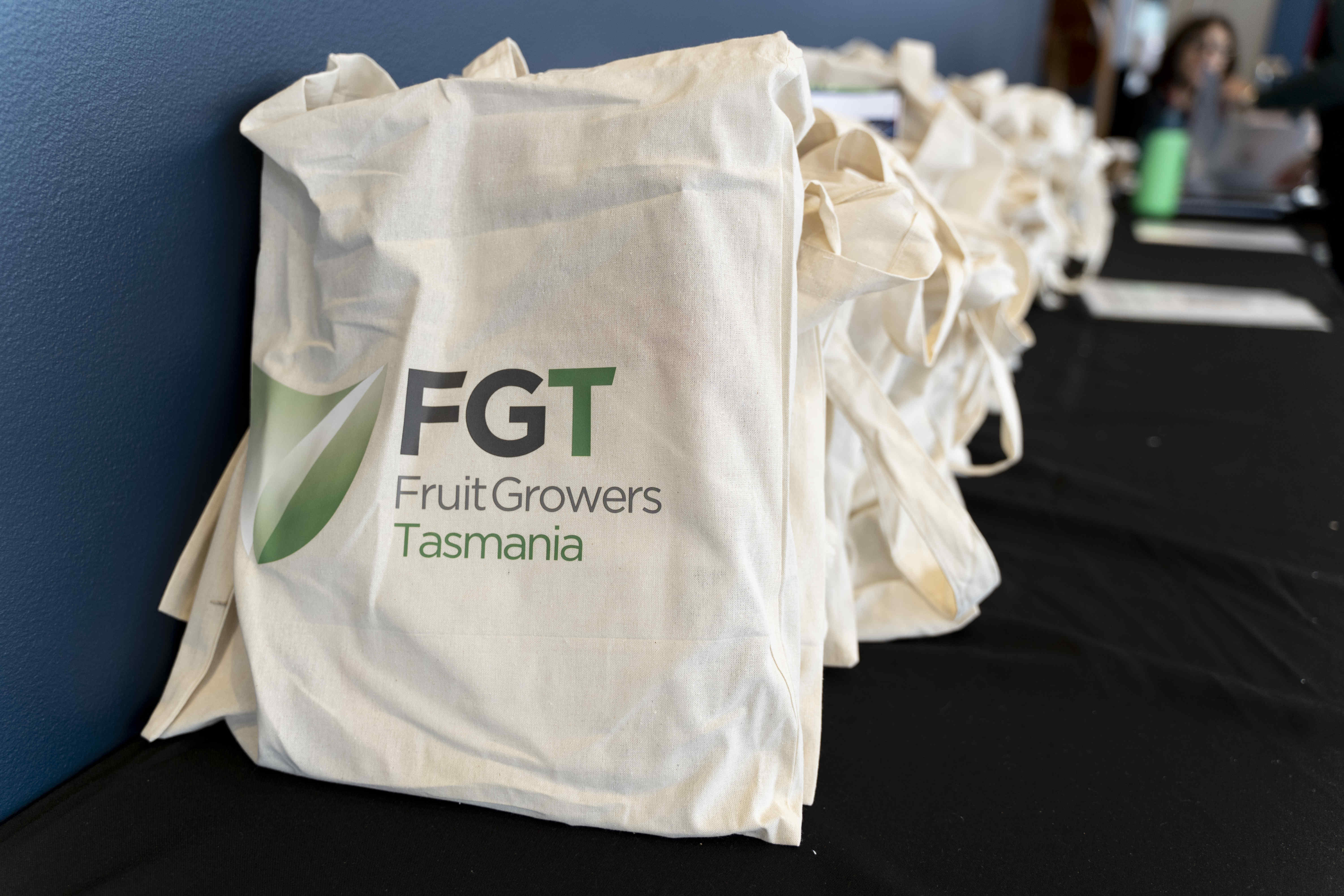 FGT Bags