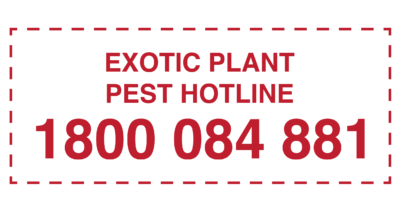 Exotic plant pest hotline 1800 084 881