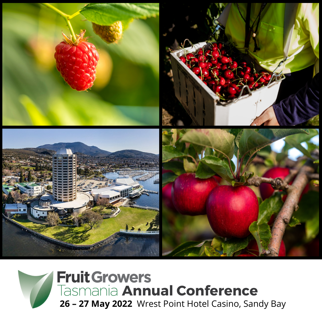 Conference 2