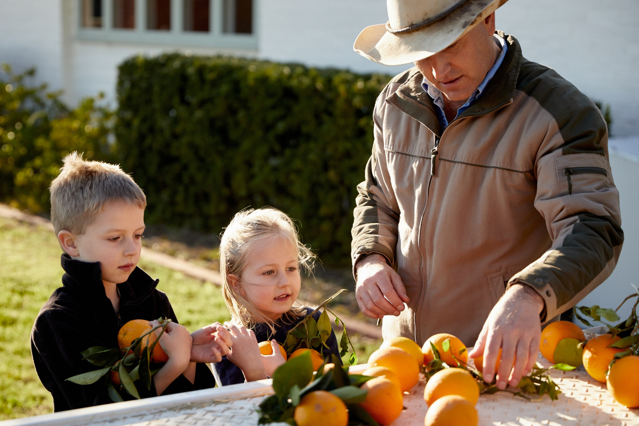 Fruit eNews edition 44 Fruit eNews archive Fruit Growers Tasmania