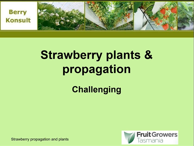 Strawberry webinar Feb 2024