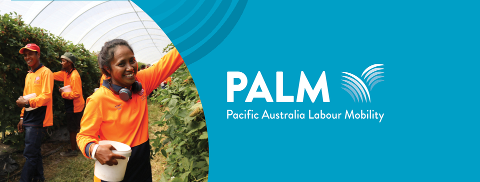 PALM scheme picture banner