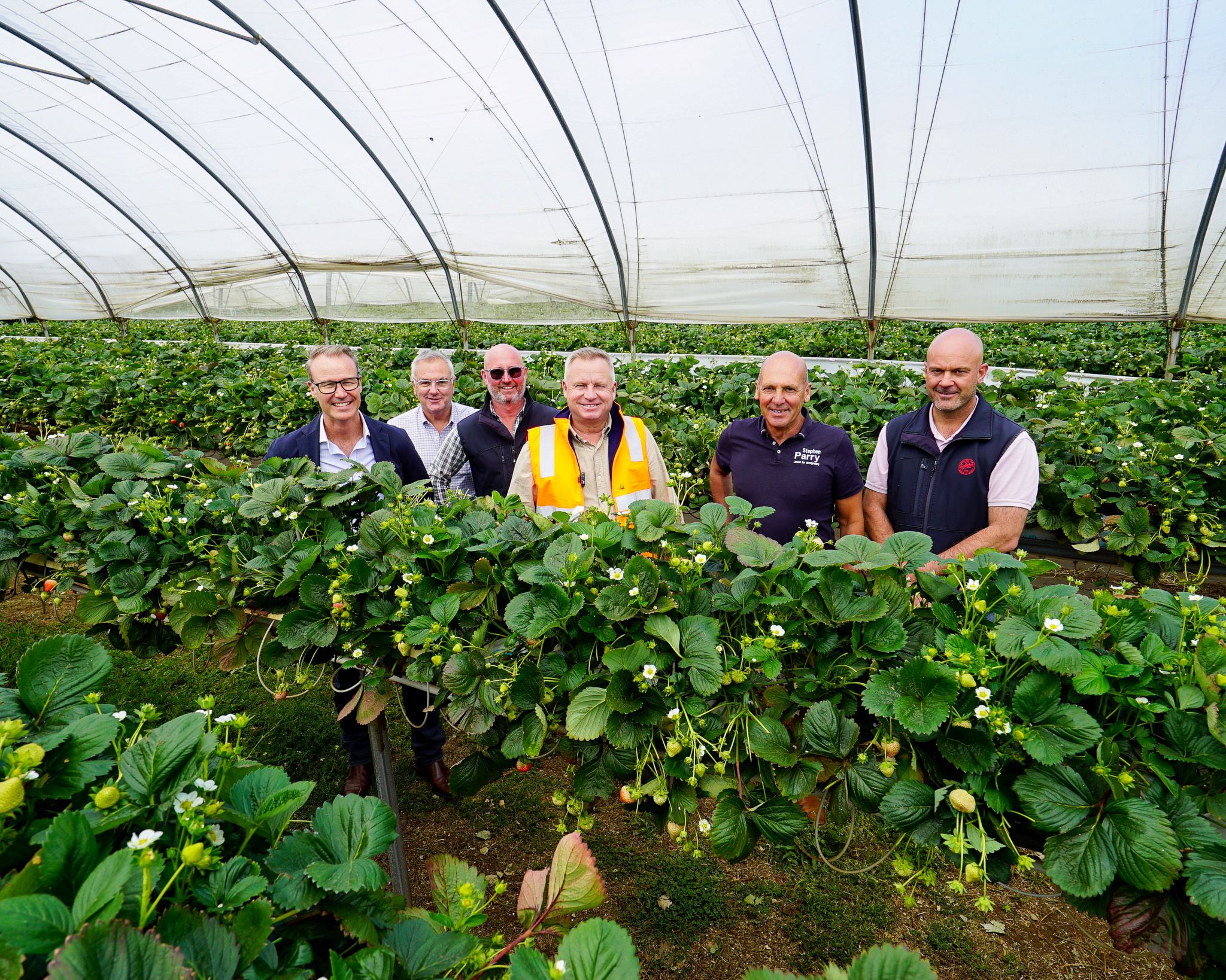 Premier's Perfection Fresh visit