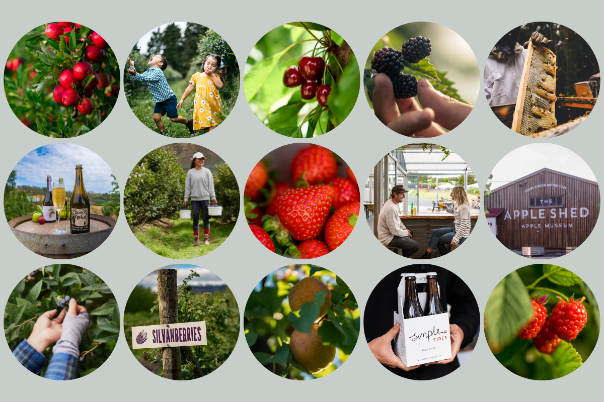 seasonal produce guide