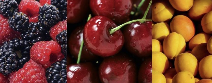 Short fruit banner