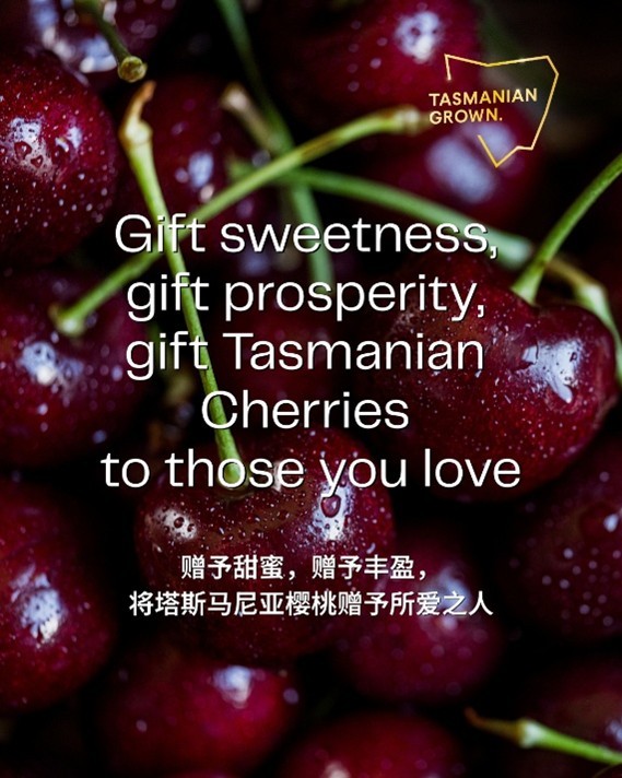 Tasmanian Grown cherries LNY 2026