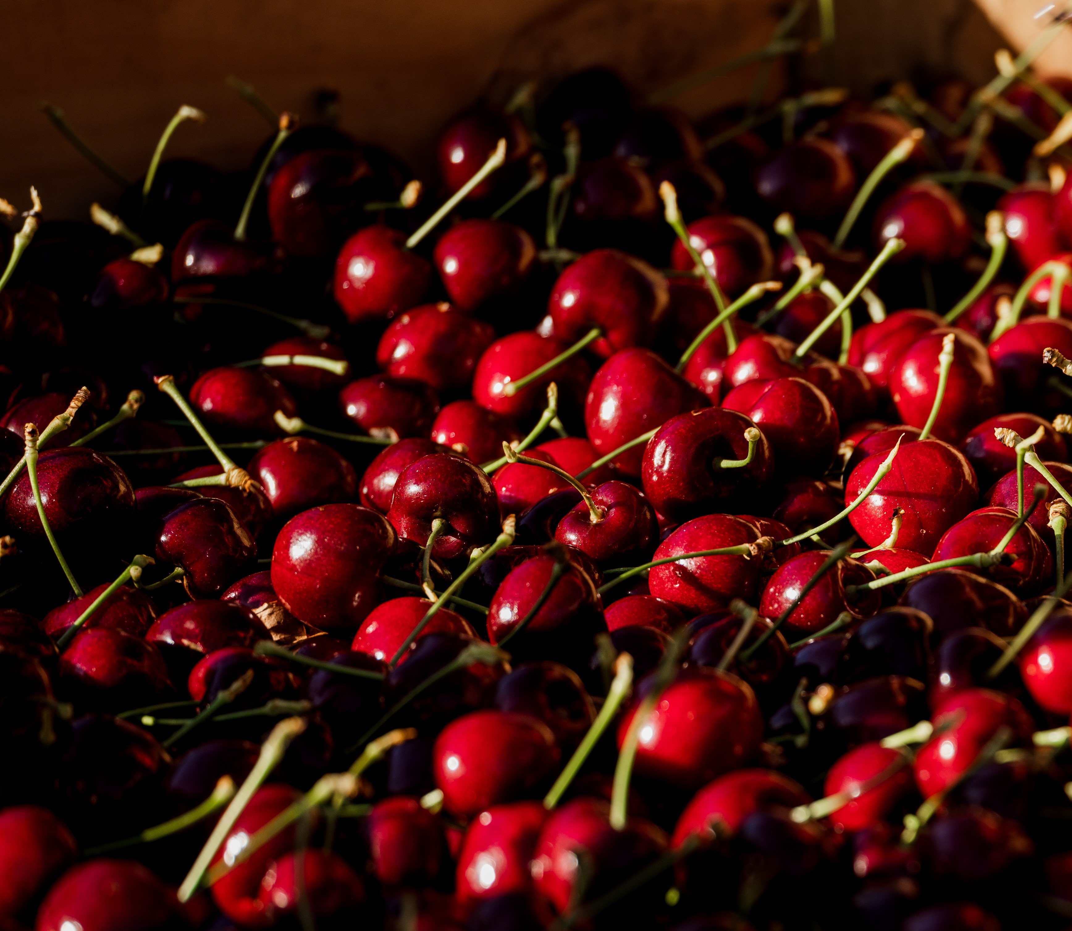 Cherries in a crate