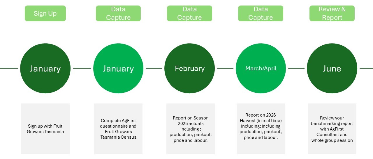Timeline for Cohort 1, starting in January 2026