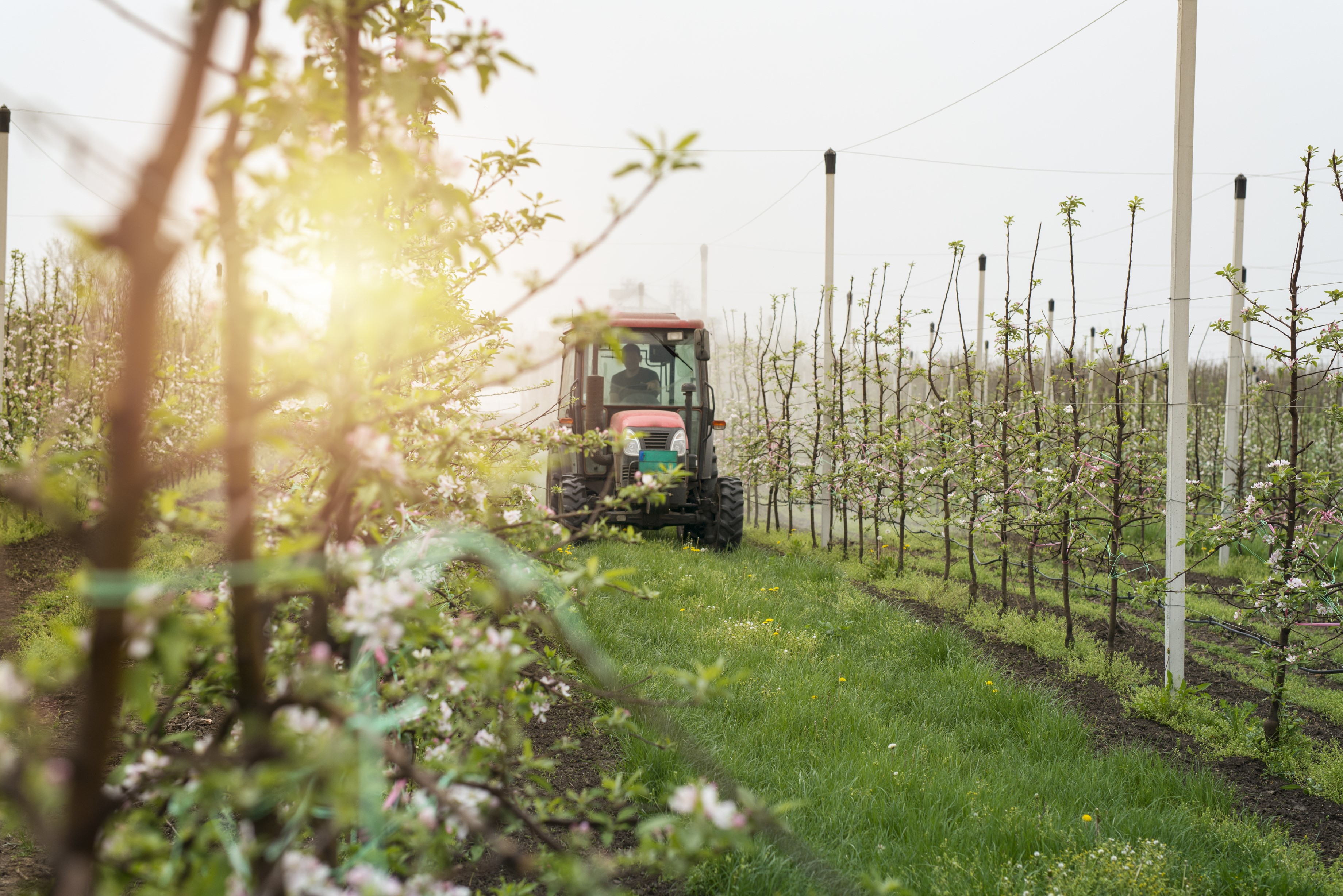 Tractor spraying