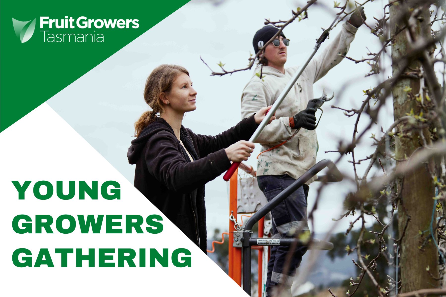 Young Growers Banner