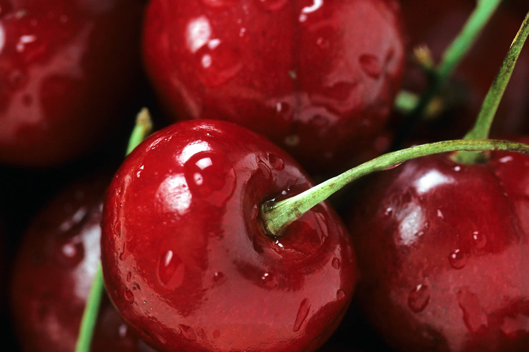 Cherry closeup