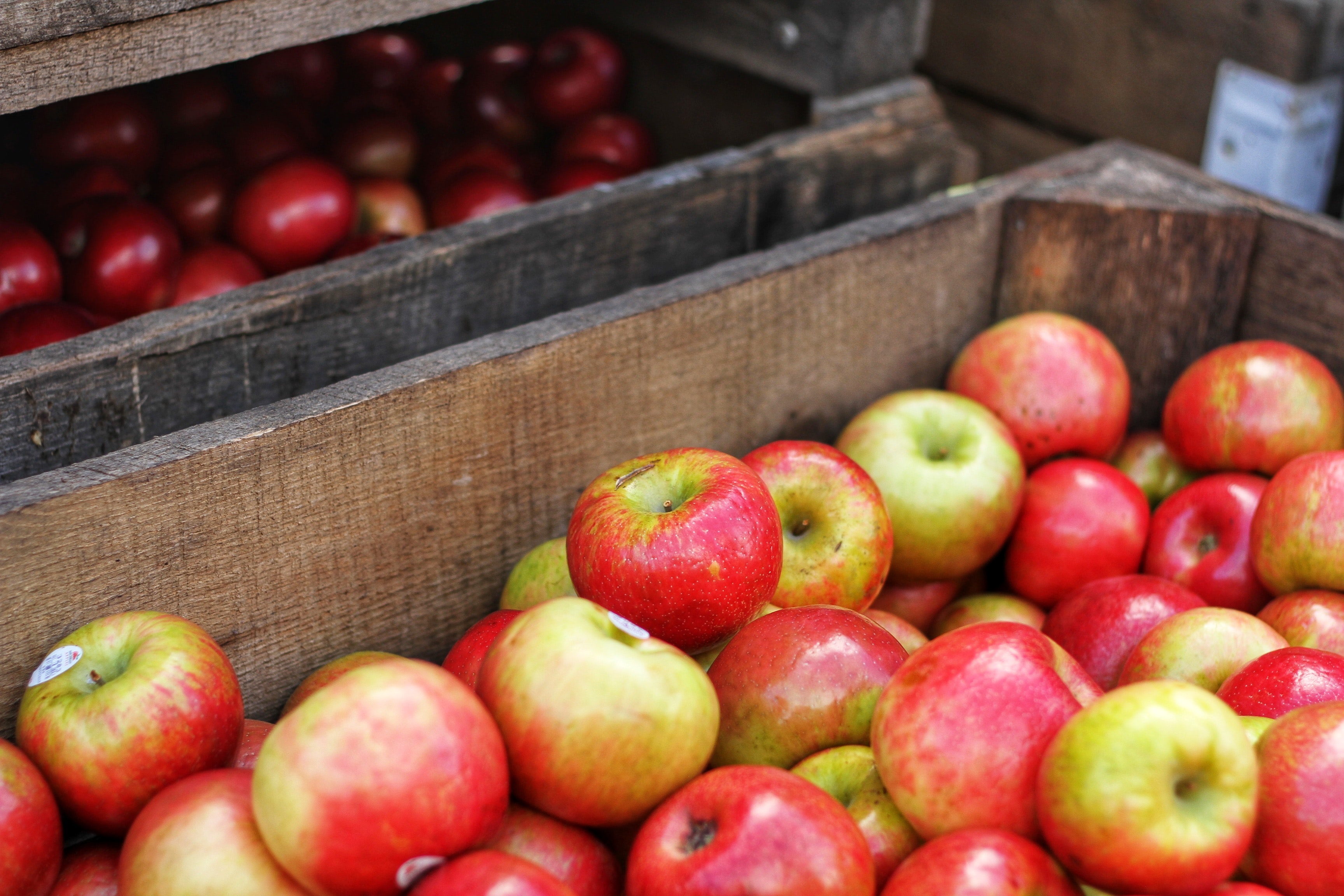 bins of apples