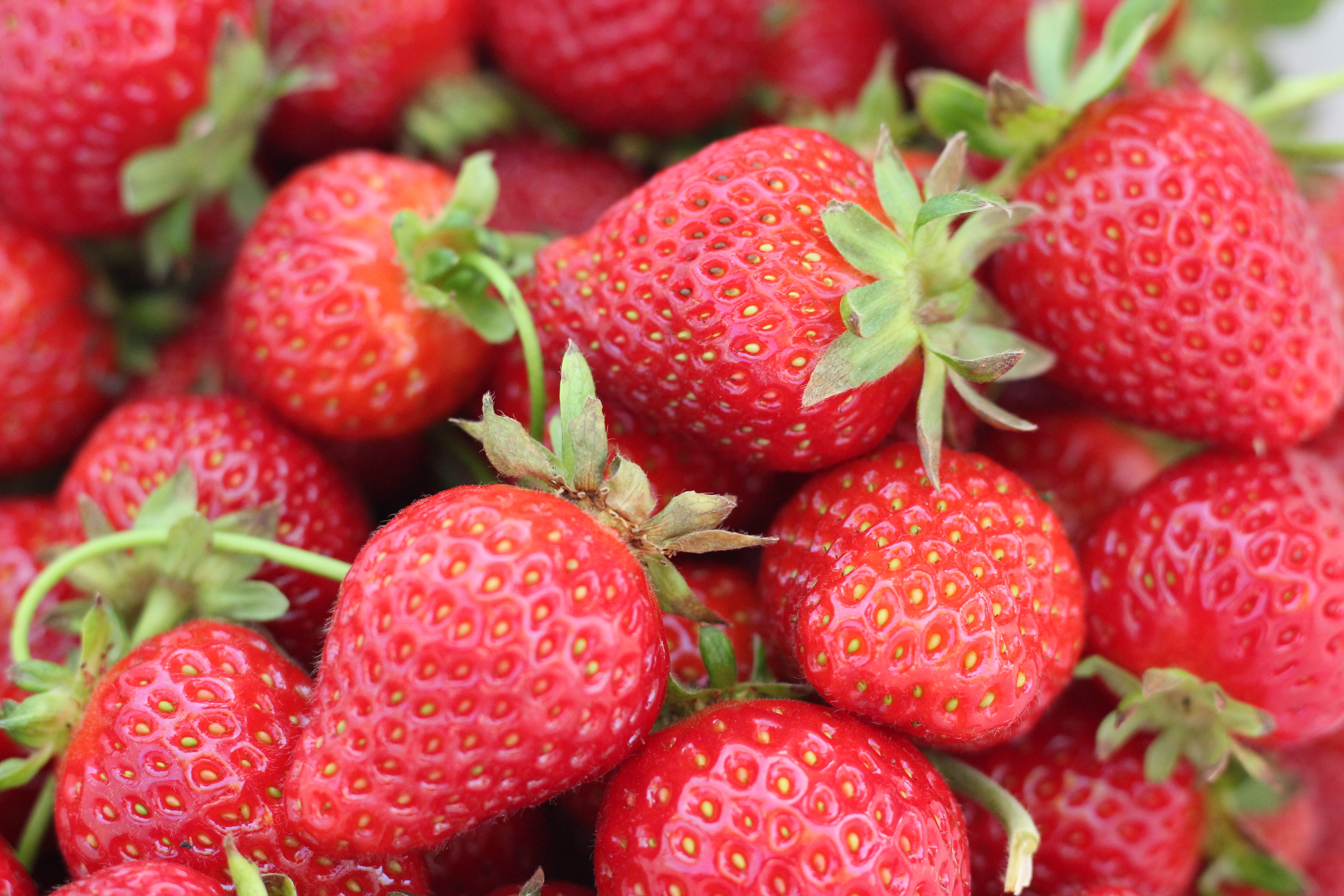 Strawberries up close