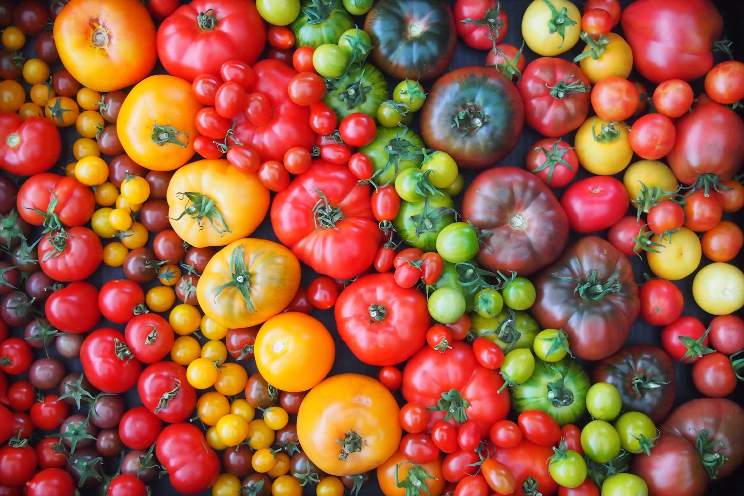 Fruit Growers Tasmania The peak body representing fruit growers in