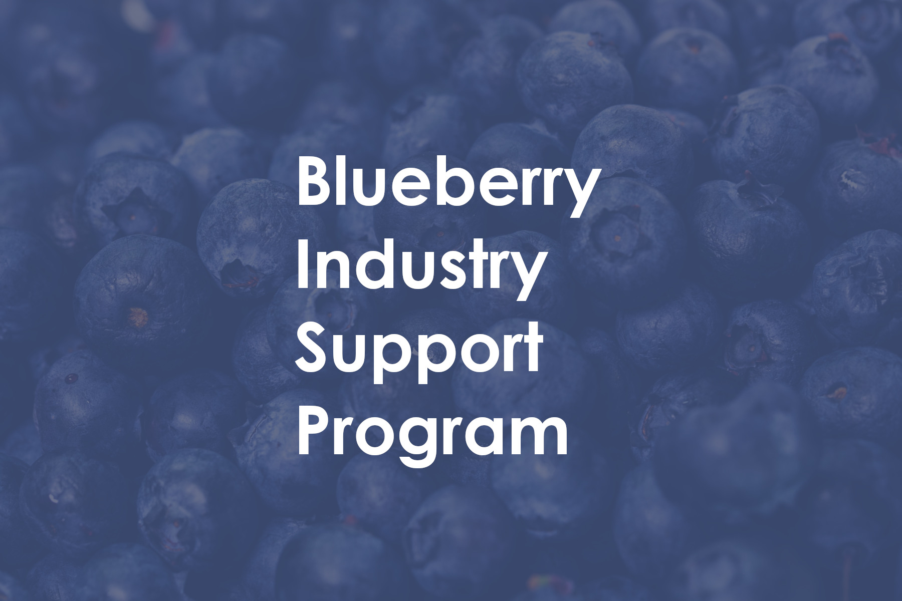 Blueberry Industry Support Program